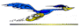 csubakersfield.gif (1895 bytes)